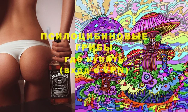 твердый Балахна